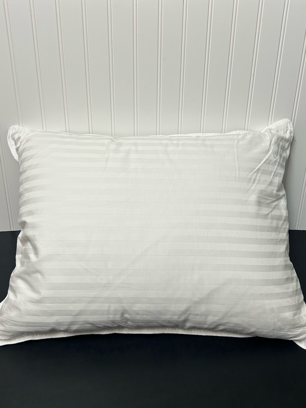 Pottery Barn Luxury 700FP European White Goose Down Pillow